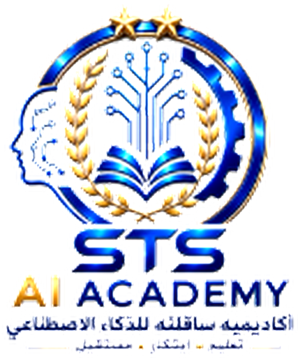 STS AI Academy